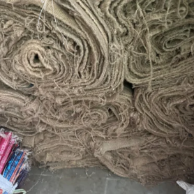 Untitled design - 2026-02-12T170220.478