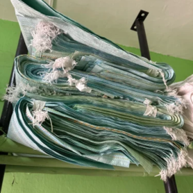 Untitled design - 2026-02-12T171501.607