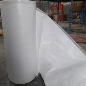 Untitled design - 2026-02-12T172029.075