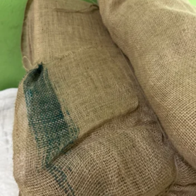 Untitled design - 2026-02-12T172631.516